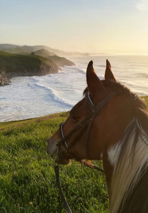 Posada Santa Ana Suances Eksteriør billede